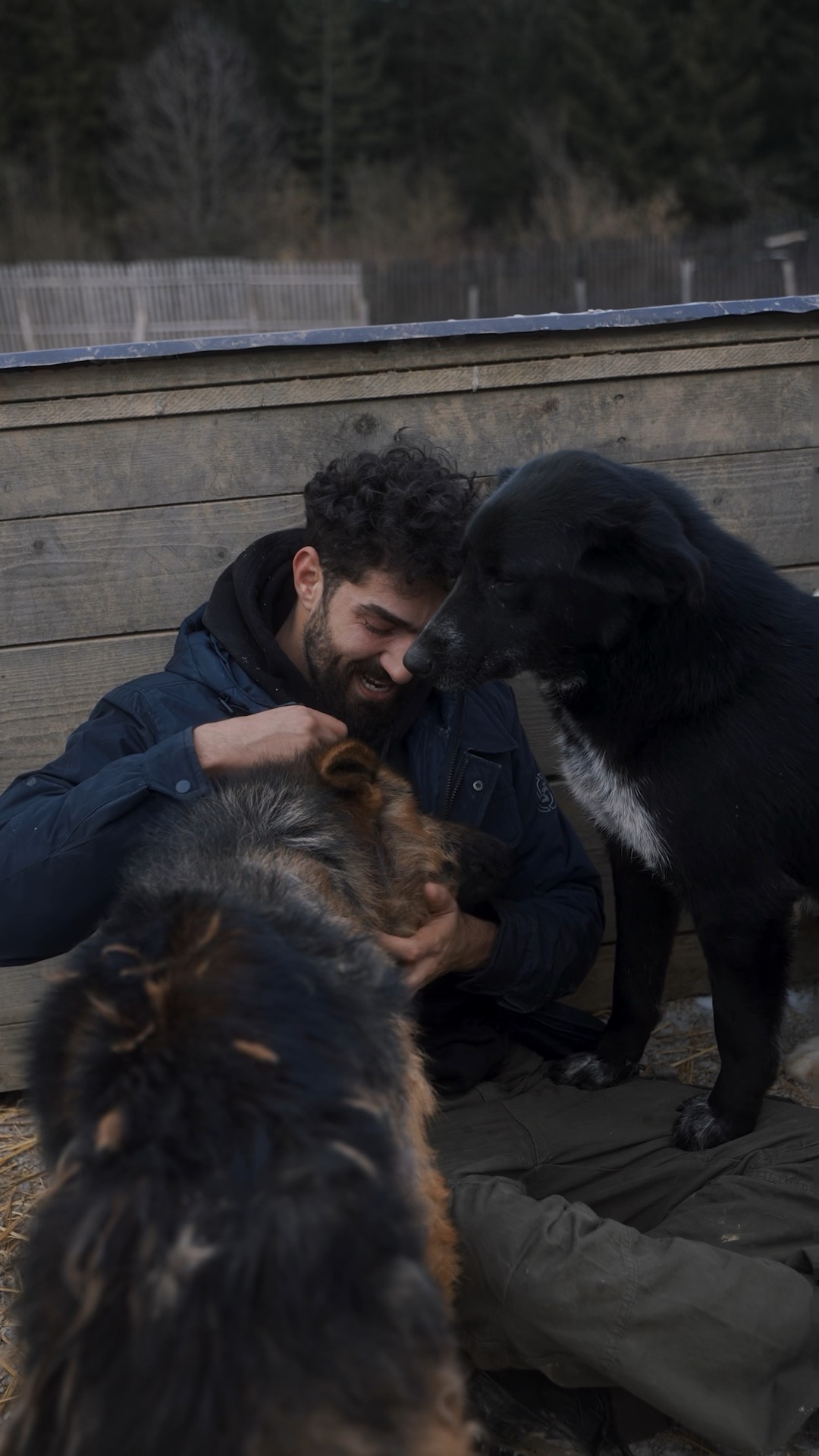 Hundetrainer mit Hunden